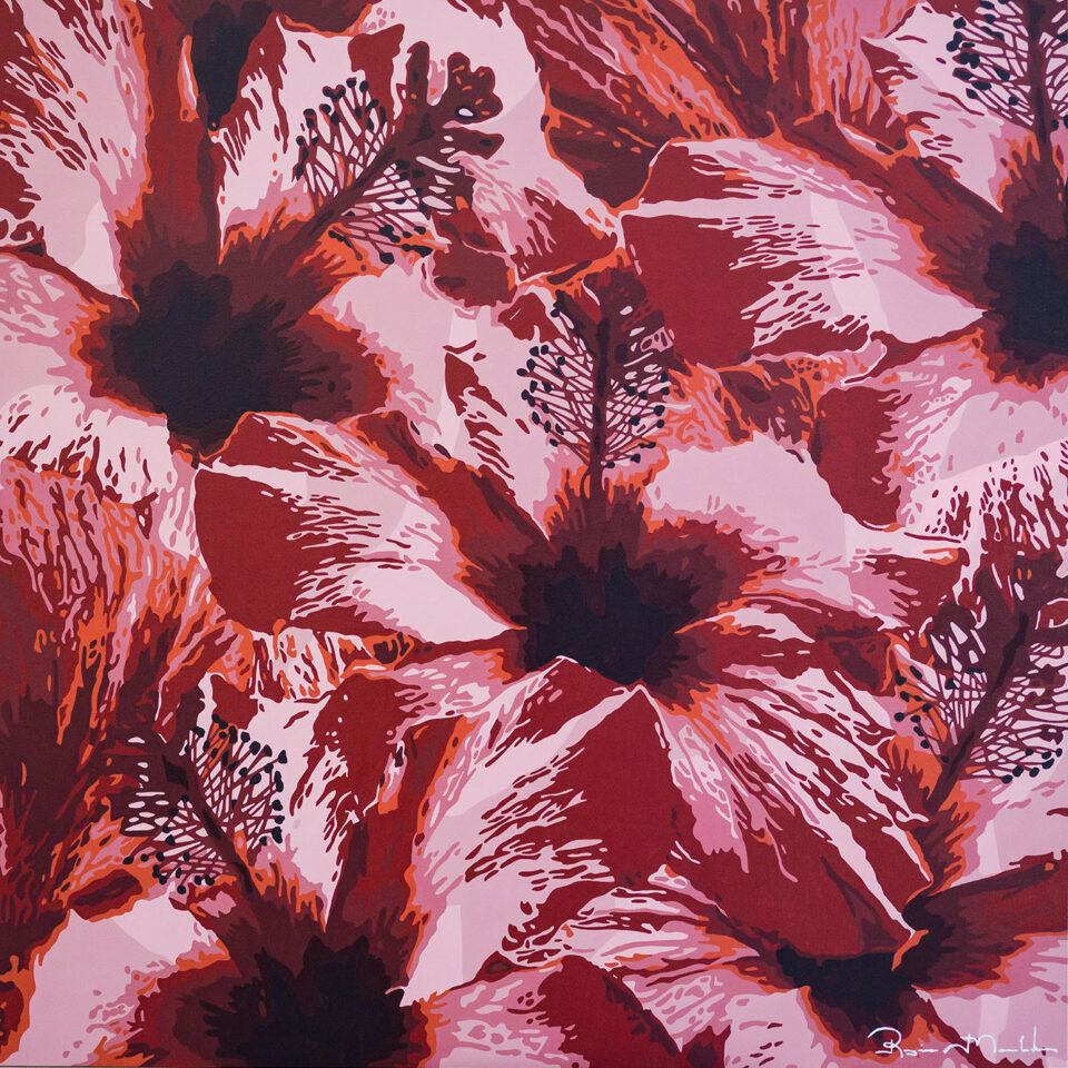Hibiscos Vermelhos